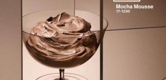 Институт цвета Pantone выбрал цветом 2025 года Mocha Mousse (3 фото)