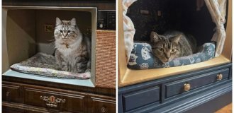 Beds made from old TVs and radios (7 photos + 1 video)