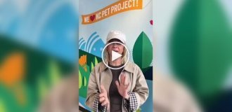 Пса сбросили с моста, и он приземлился на крышу винокурни