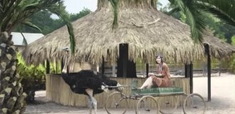 Добірка цікавих та незвичайних фотографій із США (21 фото)