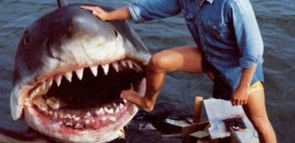 Photos from the set of Steven Spielberg's Jaws (9 photos)