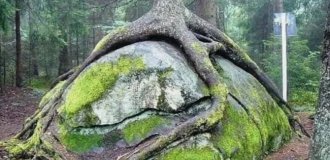 Фото редких явлений и существ, подтверждающих чудеса нашей планеты (13 фото)