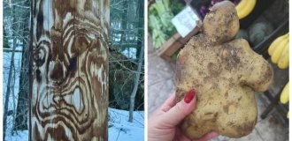 30 фото, що зафіксували маленькі чудеса буденності та повсякденності (31 фото)