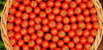 Подборка фотографий для перфекционистов (19 фото)