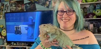 Фанатка «Корпорации монстров» перестроила дом и сменила фамилию (8 фото)