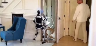 Восстание машин откладывается