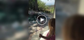 Bear plays with a doll in a pool