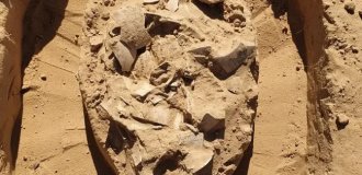 Археологи нашли в израильской пустыне запас страусиных яиц, которым 7000 лет (4 фото)
