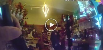 Олениха застряла в стуле в магазине подарков