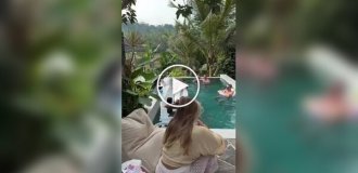 Представник племені зі Шрі-Ланки спостерігає за туристами