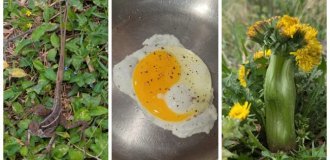 22 случая, когда мать-природа включила режим «рояль в кустах» (23 фото)