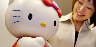 How a Bow-Wearing Cat Became the Iconic Brand Hello Kitty (8 photos)