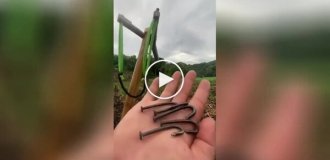 На видео сняли приоритеты мужчин после 30 — самодельная рогатка с гвоздями