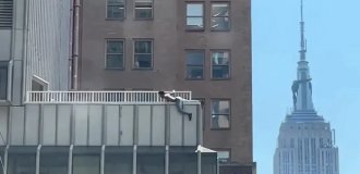 Люди панікували: чоловік в істериці почав викидати речі з даху хмарочоса (3 фото + 1 відео)