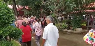 Bees stung 30 participants of a religious ceremony near a temple (3 photos)