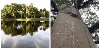 A unique ancient totem of a night bird on Hontun Island (8 photos + 1 video)