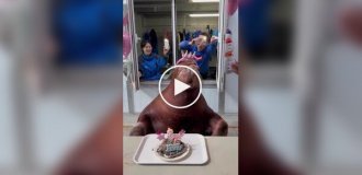 Морж отметил свой 8-й день рождения