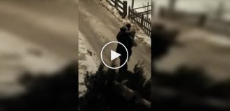 Настоящая мужская дружба