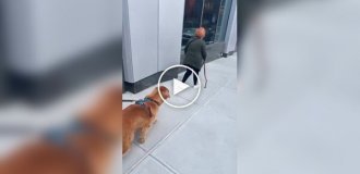 Гарний хлопчик ледь не перейшов на темний бік