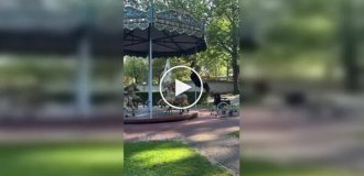 Девушка использовала карусель не по назначению