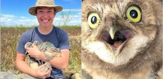 14 photos about how owls living underground are saved and why new burrows are built for them (14 photos + 1 video)