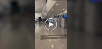 Пассажир угнал гольф-кар и прокатился в аэропорту