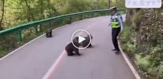 Monkeys attacked a policeman and caused a traffic jam on the road