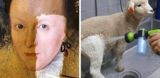 17 фотографий вещей до и после того, как за них взялись настоящие адепты чистоты (18 фото)