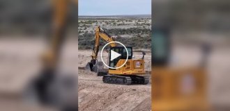 Рабочие повторили сцену из «Короля Льва»