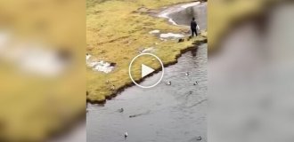 A man went to the river and found himself in a fairy tale