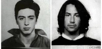 30 photos of celebrities from the police station (31 photos)