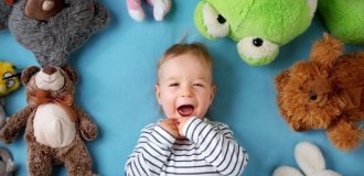 Мишка, зайчик или слоненок? Психология выбора мягкой игрушки