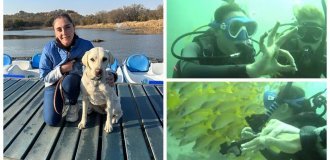 How a blind scuba diver explores tropical waters (6 photos)