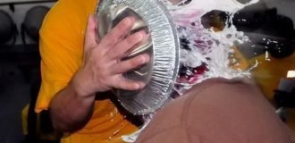 Подборка фотографий, сделанных в самый подходящий момент (25 фото)