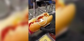 Brazilian hot dog