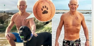 Верный друг спас жизнь хозяину, потерявшему сознание на пляже (6 фото)