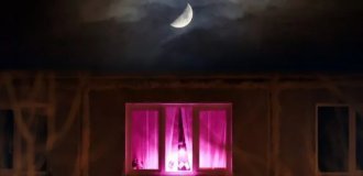 Что скрывается за фиолетовыми окнами, или Крах еще одной теории заговора (8 фото)