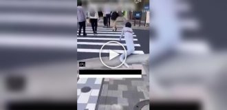 Tourist crawled through the streets of a Japanese city in a snake costume