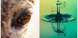 22 снимка, демонстрирующих скрывающуюся в мелочах вселенную (23 фото)