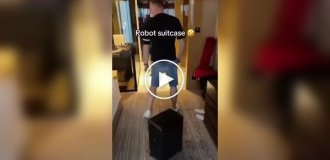 Попытки умного чемодана следовать за человеком