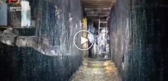 Новые подробности ограбления в Неаполе