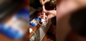 Как поляк сосиску готовил