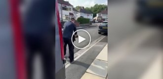 Спасенный голубь врезался в стену