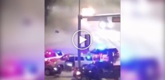 A police dog took a break while chasing a violator