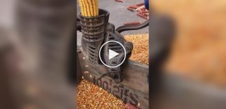 Старая кукурузолущилка с ручным приводом