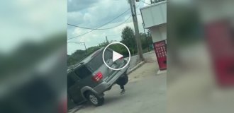 Чип и Дейл спешат на помощь