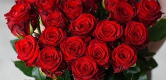 История роз: от дикого цветка до символа любви и роскоши