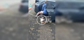 Посетители парка спасли собаку, запертую в раскаленной машине
