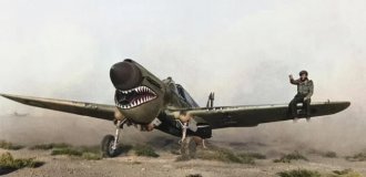 Редкие и интересные фотоматериалы с фронтов Второй Мировой Войны (21 фото)