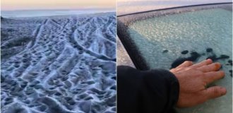 Abnormal cold weather came to Chile (2 photos + 3 videos)